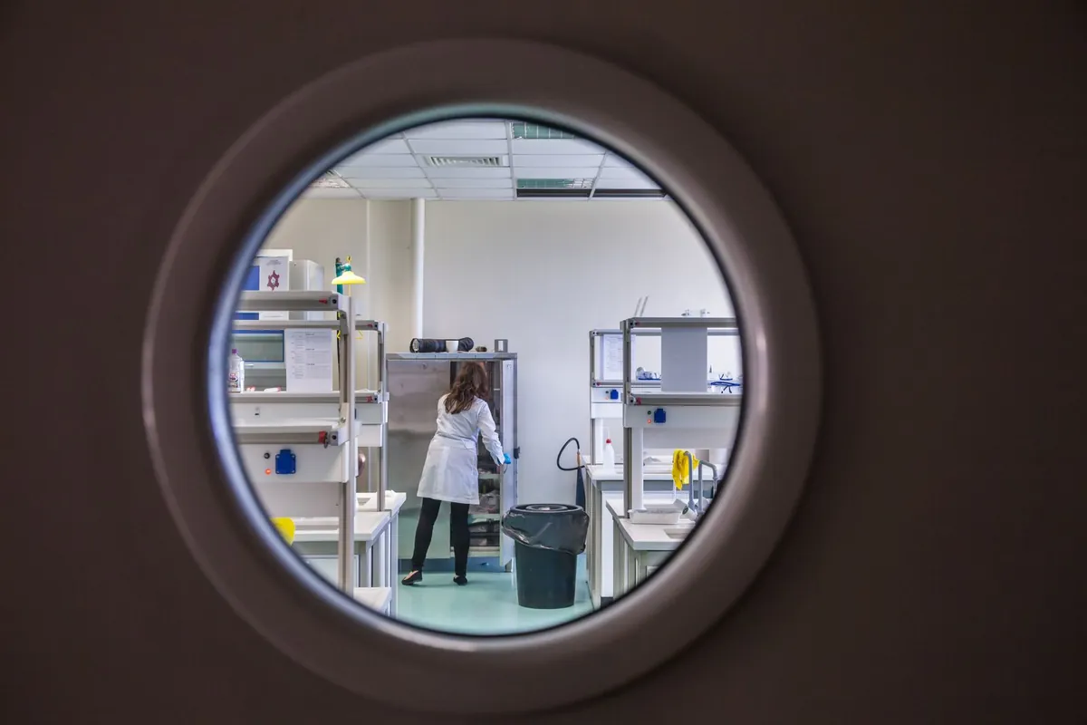 Laboratorio de alimentos